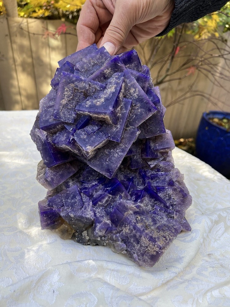 Greenlaws Mine UK Purple Fluorite Gargantuan Green Pocket Etching 6549g Specimen-image