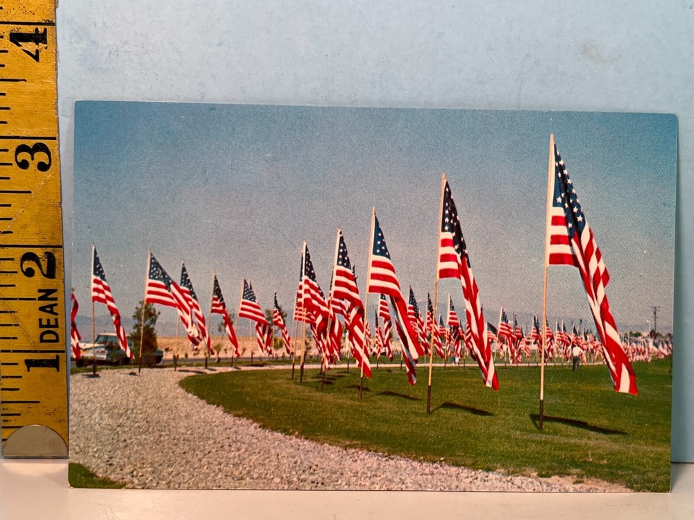 Avenue of American Flags Displayed at Greenlawn Memorial Park Postcard-image